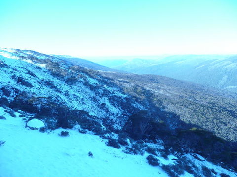 CHILL-OUT - Thredbo - Sunshine Coast Tourism 39