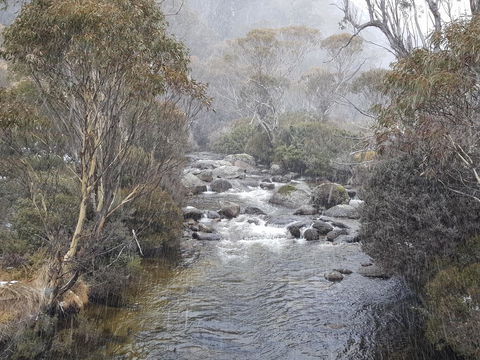 CHILL-OUT - Thredbo - Sunshine Coast Tourism 23