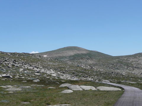 CHILL-OUT - Thredbo - Sunshine Coast Tourism 20
