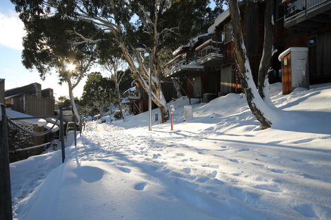 CHILL-OUT - Thredbo - Sunshine Coast Tourism 31