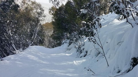 CHILL-OUT - Thredbo - Sunshine Coast Tourism 17