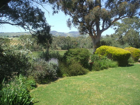 Archery Road Estate - Holiday Sunshine Coast 9
