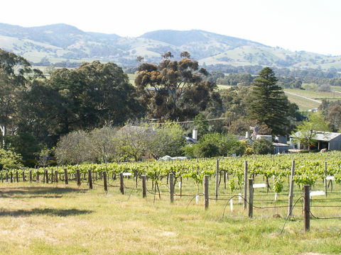 Archery Road Estate - Holiday Sunshine Coast 12