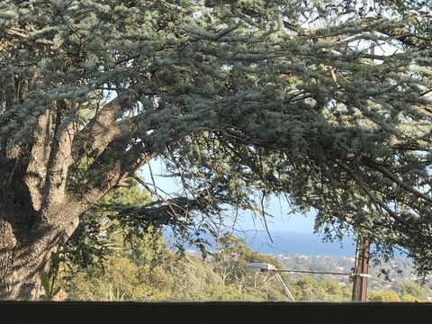 Stunning House With Beautiful Entertainment Area!! - Sunshine Coast Tourism 8