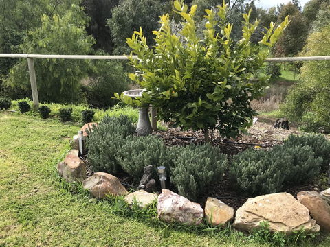 Adagio In Auburn - Sunshine Coast Tourism 18