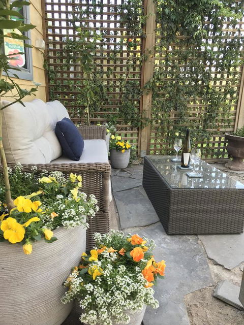 Adagio In Auburn - Sunshine Coast Tourism 15