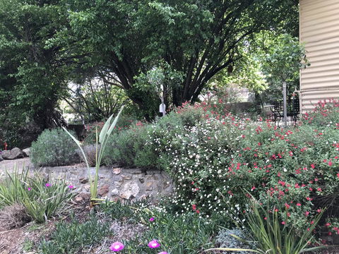 Adagio In Auburn - Sunshine Coast Tourism 10