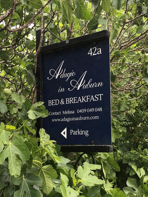 Adagio In Auburn - Sunshine Coast Tourism 4