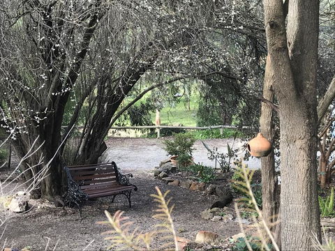 Adagio In Auburn - Sunshine Coast Tourism 17