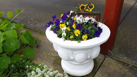 Addies Place Goolwa - Sunshine Coast Tourism 10