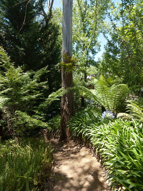 Aldgate Creek Cottage Bed And Breakfast - Sunshine Coast Tourism 27