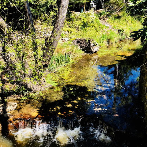 Aldgate Creek Cottage Bed And Breakfast - Sunshine Coast Tourism 22