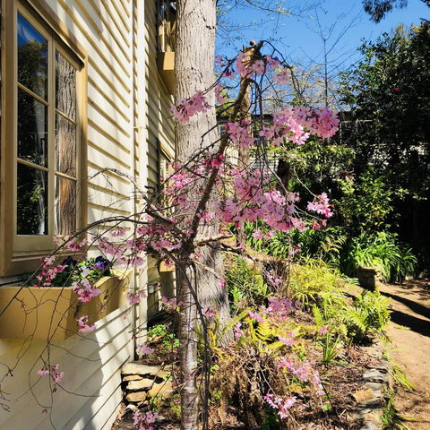 Aldgate Creek Cottage Bed And Breakfast - Sunshine Coast Tourism 19