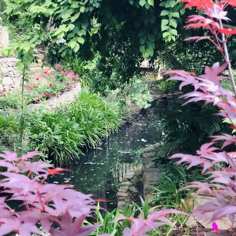 Aldgate Creek Cottage Bed And Breakfast - Sunshine Coast Tourism 21