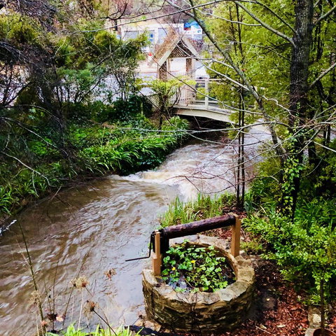 Aldgate Creek Cottage Bed And Breakfast - Sunshine Coast Tourism 23