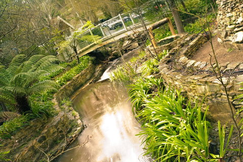 Aldgate Creek Cottage Bed And Breakfast - Sunshine Coast Tourism 17