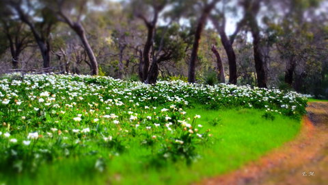 Chandlers Smiths Beach Villas - Holiday Sunshine Coast 13