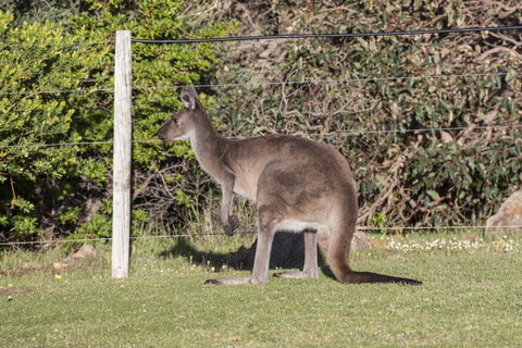 Chandlers Smiths Beach Villas - Holiday Sunshine Coast 15