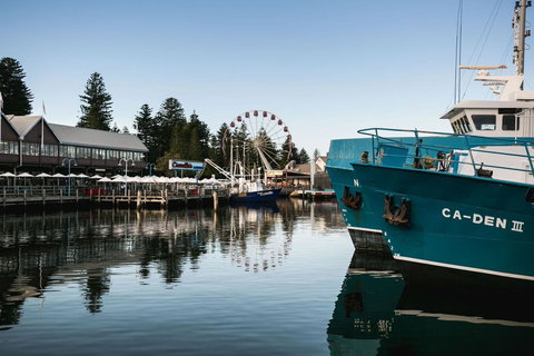 Oceanside 23 - Sunshine Coast Tourism 25