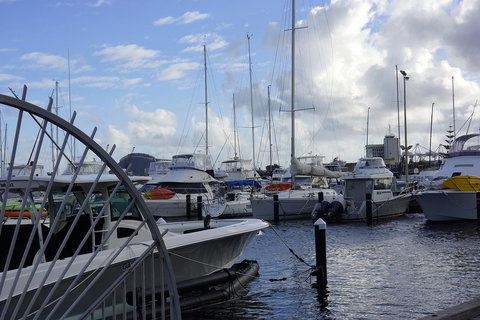 Oceanside 23 - Sunshine Coast Tourism 24