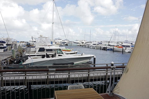 Oceanside 23 - Sunshine Coast Tourism 18