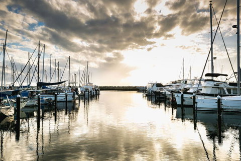 Oceanside 23 - Sunshine Coast Tourism 2