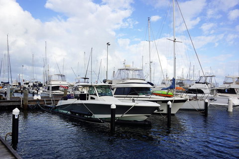 Oceanside 23 - Sunshine Coast Tourism 23