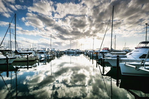 Oceanside 23 - Sunshine Coast Tourism 1