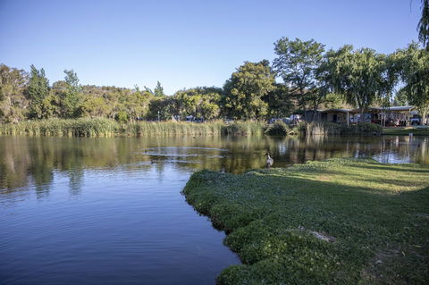 Karrinyup Waters Resort - Sunshine Coast Tourism 15