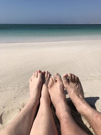 Book Lancelin Accommodation Vacations Sunshine Coast Tourism Sunshine Coast Tourism