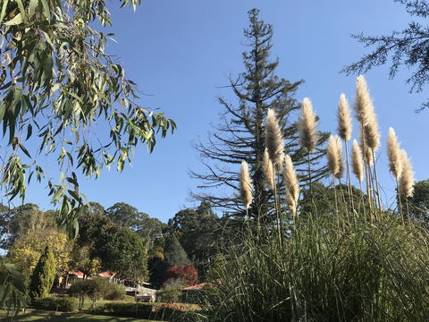 Forest Lodge Resort - Holiday Sunshine Coast 24