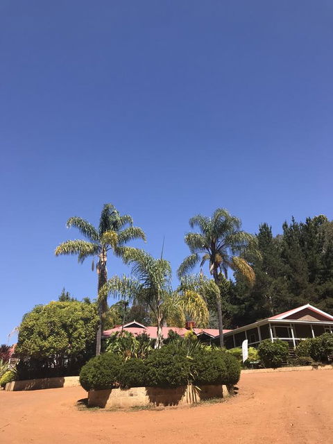 Forest Lodge Resort - Holiday Sunshine Coast 0