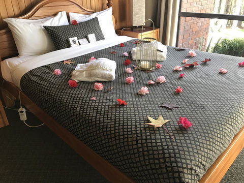 Forest Lodge Resort - Holiday Sunshine Coast 3