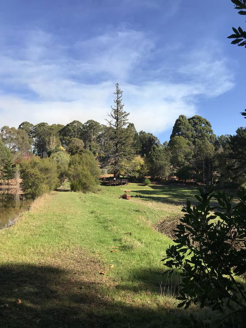 Forest Lodge Resort - Holiday Sunshine Coast 31