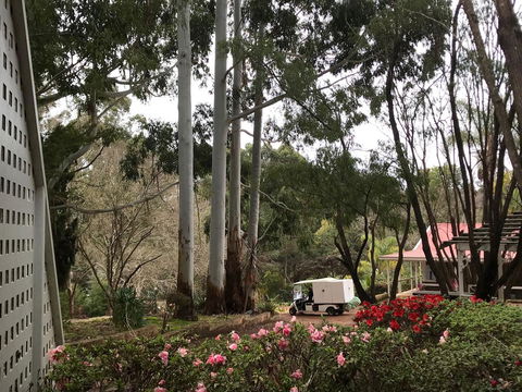 Forest Lodge Resort - Holiday Sunshine Coast 11
