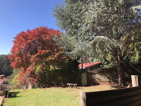 Forest Lodge Resort - Holiday Sunshine Coast 42