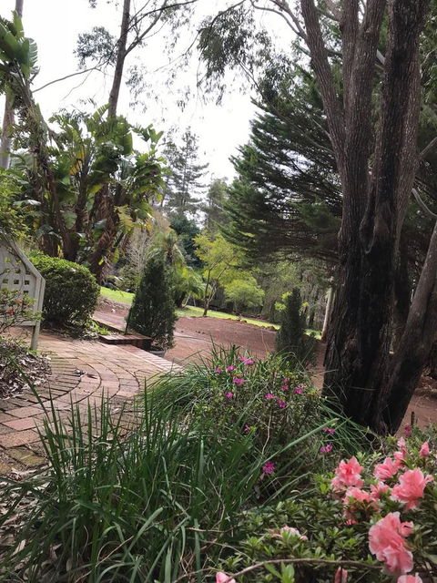 Forest Lodge Resort - Holiday Sunshine Coast 10