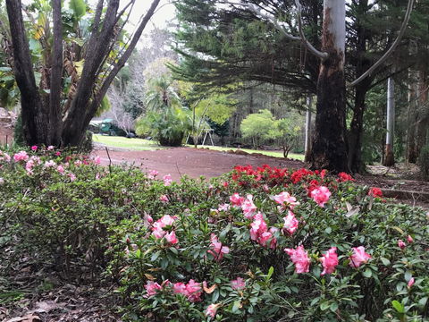Forest Lodge Resort - Holiday Sunshine Coast 12