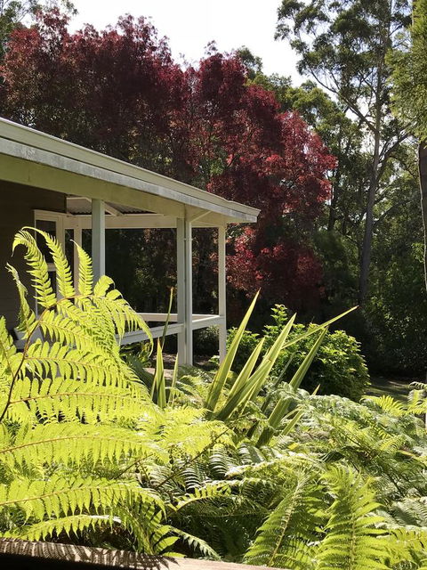 Forest Lodge Resort - Holiday Sunshine Coast 14
