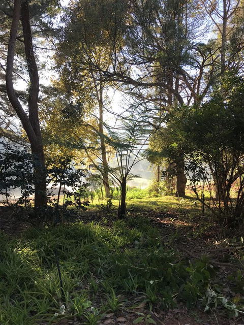 Forest Lodge Resort - Holiday Sunshine Coast 33