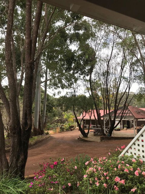 Forest Lodge Resort - Holiday Sunshine Coast 9