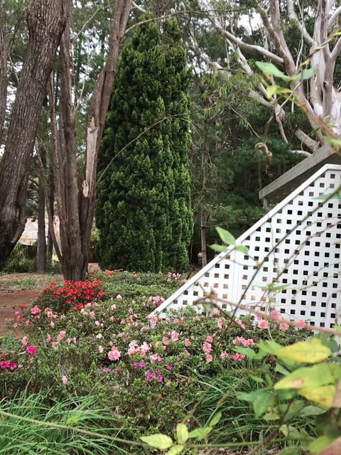 Forest Lodge Resort - Holiday Sunshine Coast 7