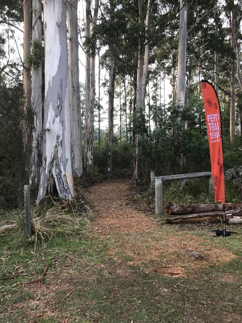 Forest Lodge Resort - Holiday Sunshine Coast 28