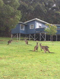 Book Denmark Accommodation Vacations Sunshine Coast Tourism Sunshine Coast Tourism