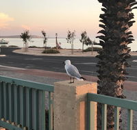 Shark Bay Seafront Apartments - Holiday Sunshine Coast