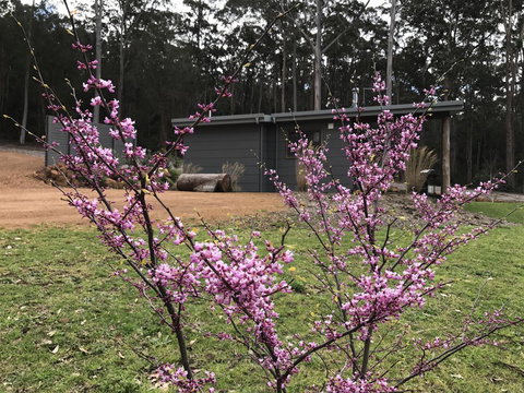 The Floating Forest - Sunshine Coast Tourism 15