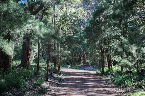 The Floating Forest - Sunshine Coast Tourism 30