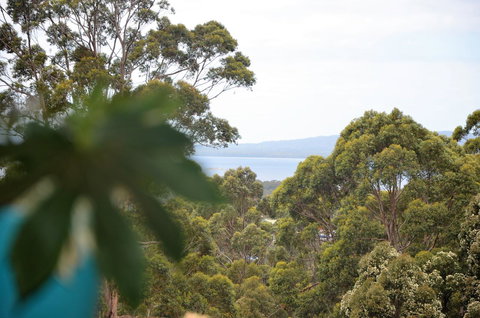 The Floating Forest - Sunshine Coast Tourism 8
