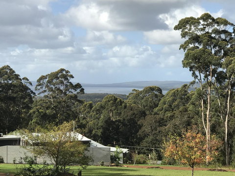The Floating Forest - Sunshine Coast Tourism 2