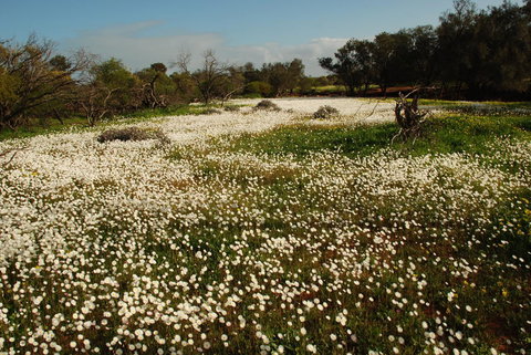 Kalbarri Seafront Villas - Holiday Sunshine Coast 35